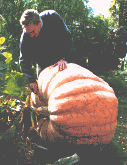My 204 .5 kg pumpkin