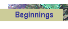 Beginnings