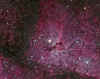 eta_carinae_STXL16200_RC14_HaRGB.jpg (1004823 bytes)