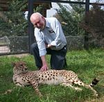 Brian making a cheetah purr