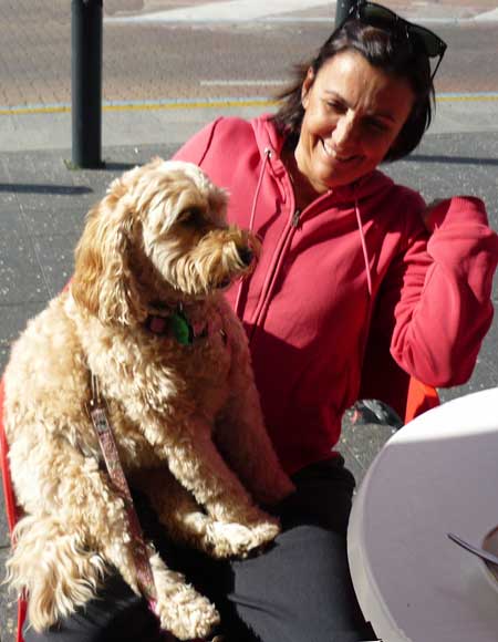 Glenelg cafe scene: owner nurses dog