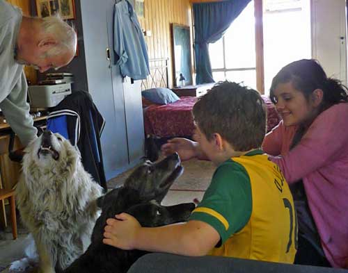 Brian with Chiz; Amy and Daniel with other furry friends