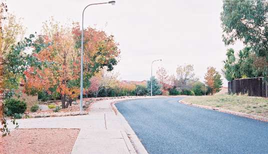 Autumn parade