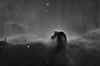 horsehead2021_STXL6303_RC14_Halpha.jpg (608555 bytes)