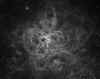 ngc2070_STXL16200_RC14_Halpha.jpg (578970 bytes)