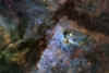 ngc3372_STL11K_RC_nb.jpg (571134 bytes)