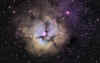 trifid_ST10_nb.jpg (92228 bytes)