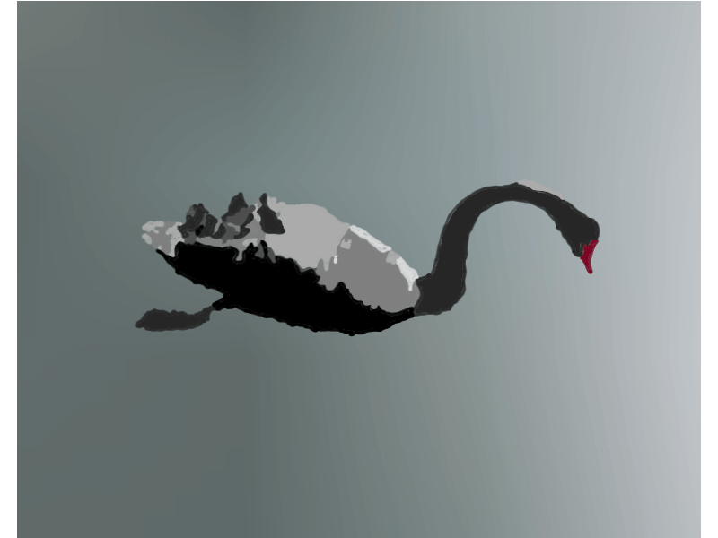 Black swan