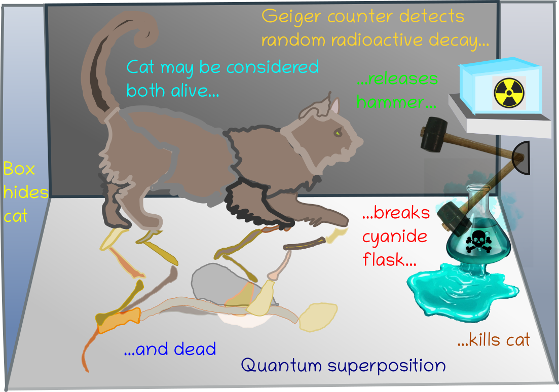 Schrödinger's cat