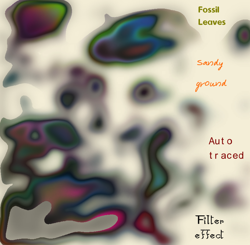 Traced and filtered fossil leaves