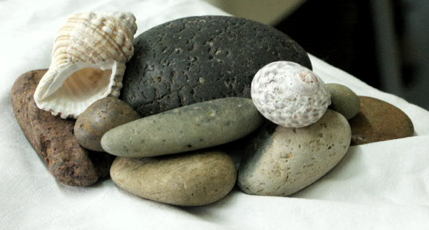 Still life subject, of pebbles and shells