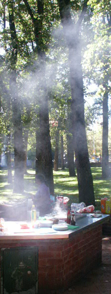 Smoke rising from a barbecue