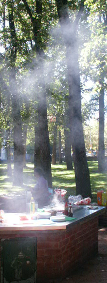 Smoky barbecue
