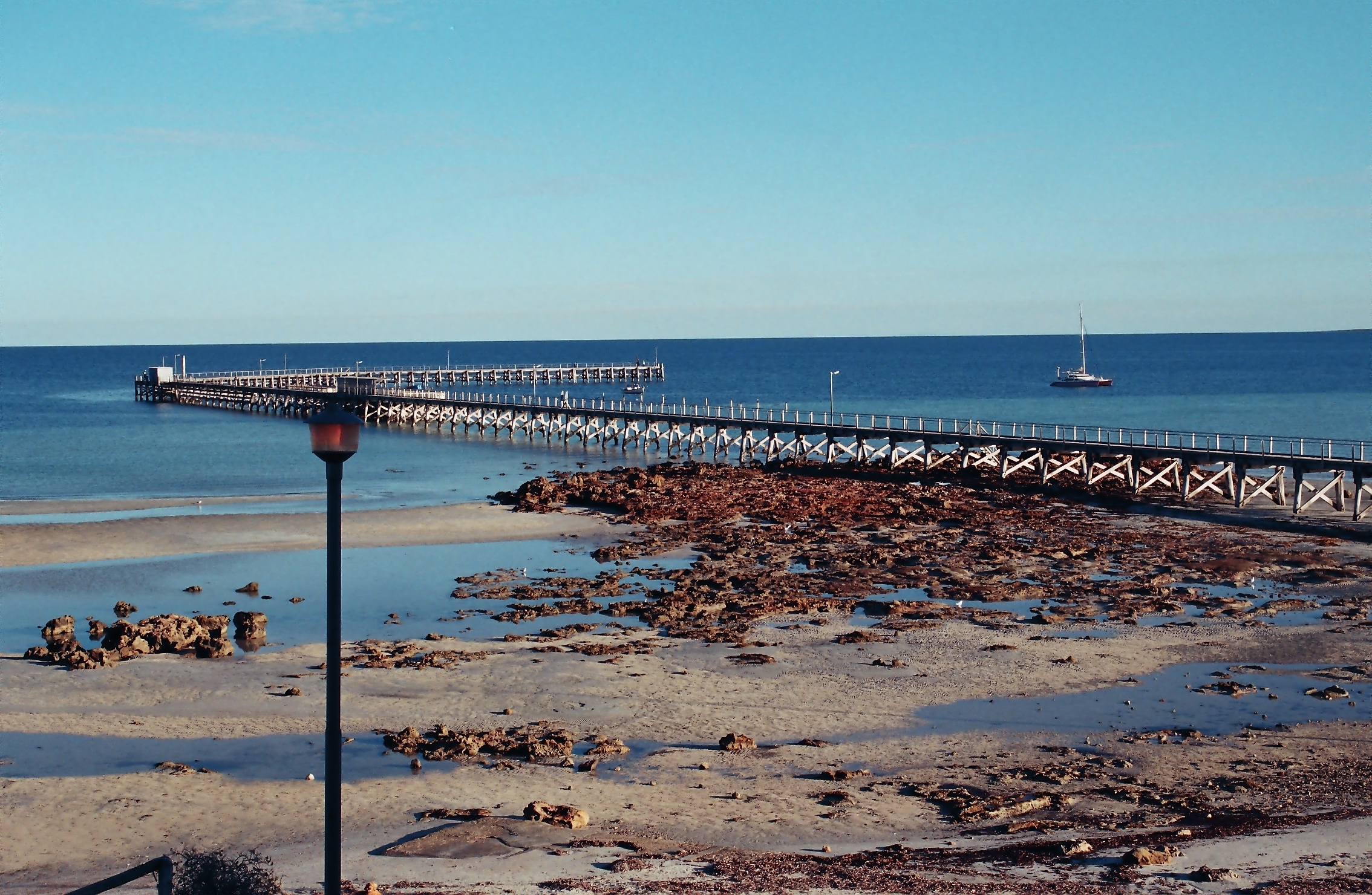 Shell Moonta Moonta: Vital facts and history